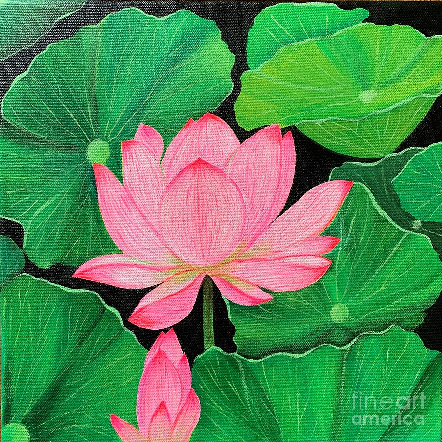 Pink Lotus Painting by Amita Dand - Fine Art America