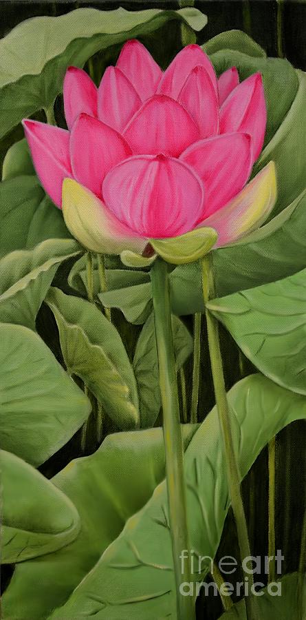 Pink Lotus And Leaves Painting by Mary Deal