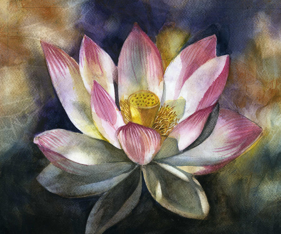Pink Lotus Blossom Painting by Alfred Ng