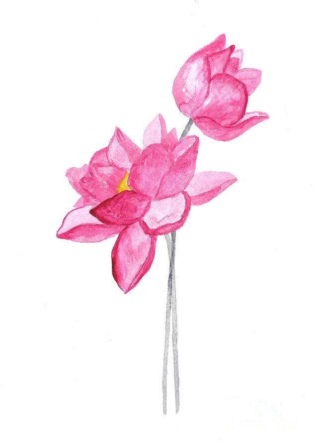 Pink Lotus Home Decor Painting By Green Palace