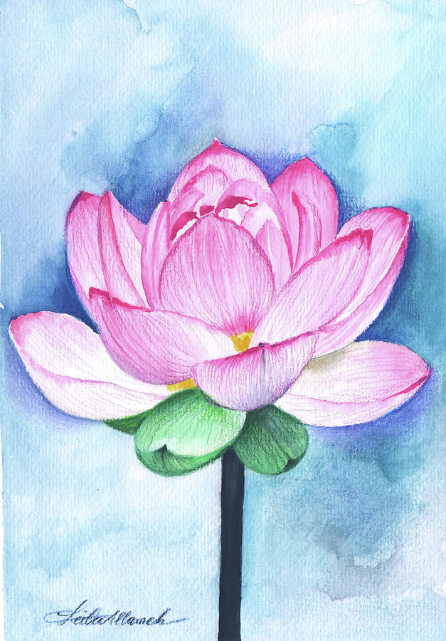 Pink Lotus Painting by Leila Allameh - Fine Art America