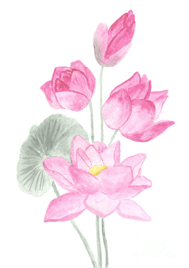 Pink lotus watercolor painting Painting by Green Palace - Pixels