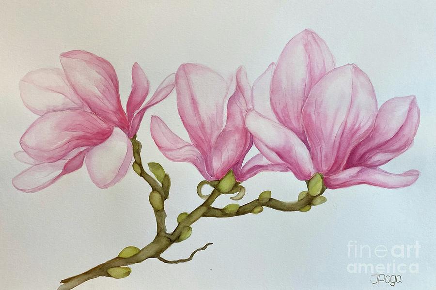 Pink magnolia blooms #1 Painting by Inese Poga