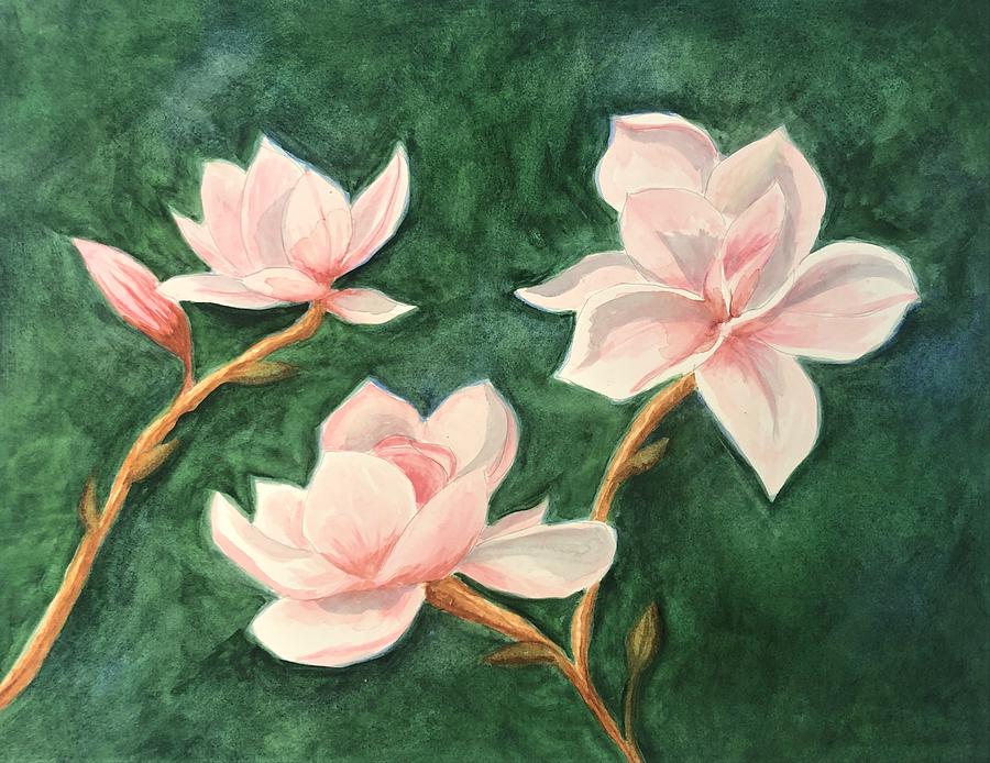 Magnolia Painting - Pink Magnolia Blossoms by Judy Thompson