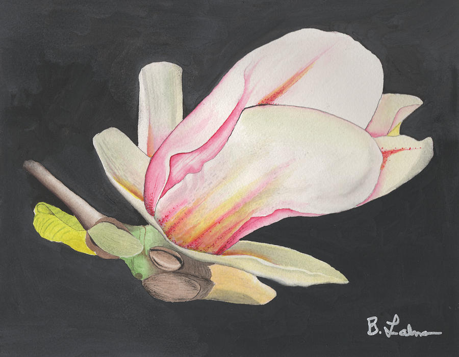 Pink Magnolia Painting by Bob Labno