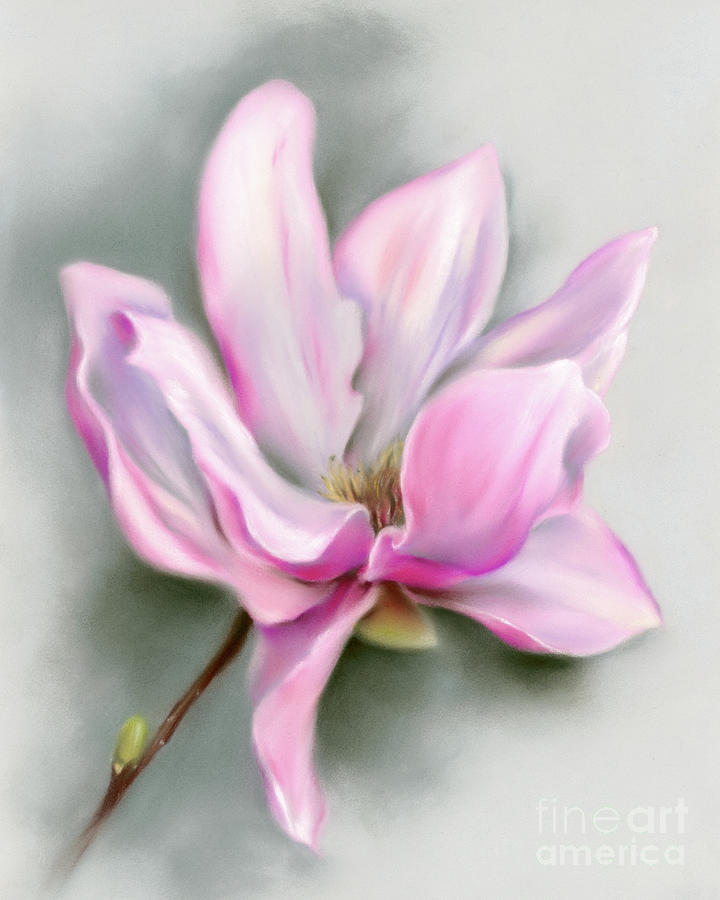 Pink Magnolia Spring Blossom Painting by MM Anderson