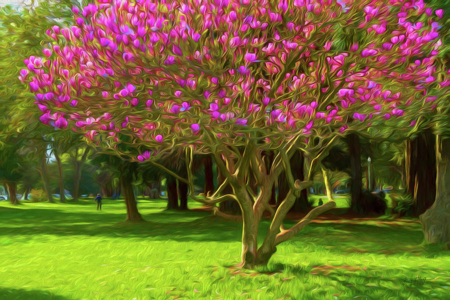 Pink Magnolia Tree in Spring Painted Photograph by Bonnie Follett