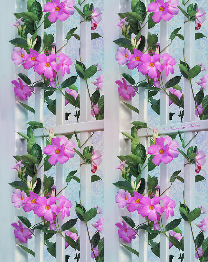 Pink Mandevilla Flowers on Trellis with Tie Dye Mixed Media by Nancy Lee Moran