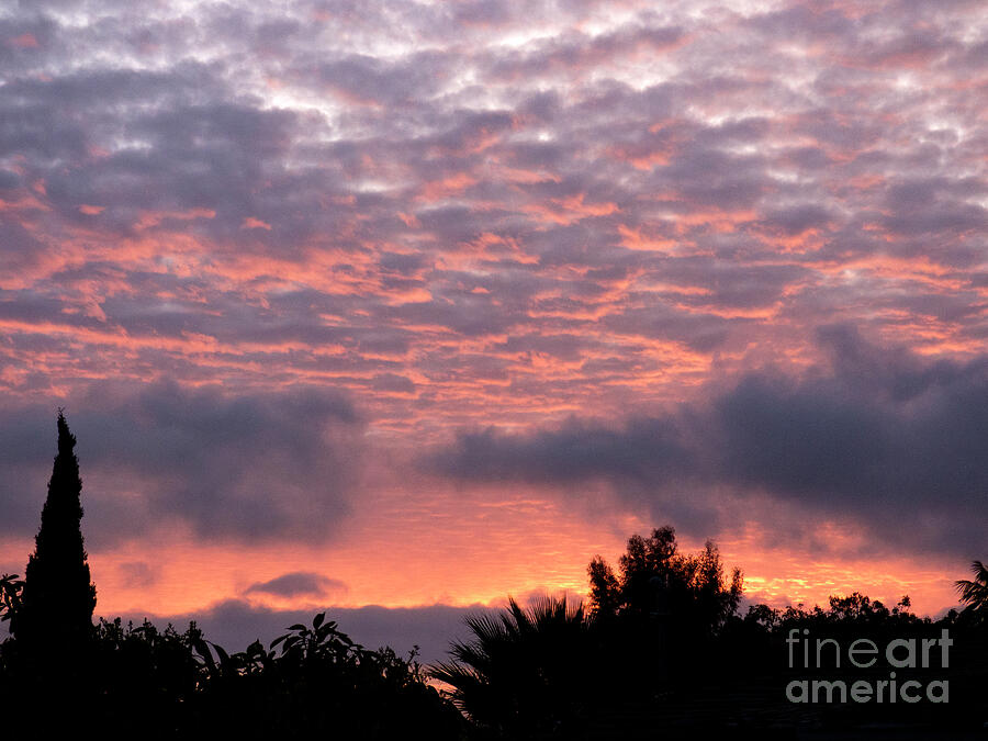 Sunset Photograph - Pink March Sunset by Julieanne Case