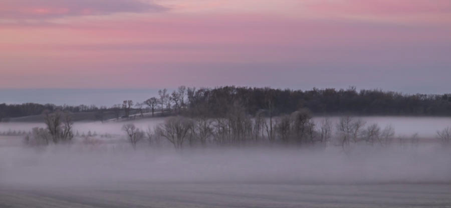 Pink Misty Morning #1 - Winter Fog Photograph by Patti Deters