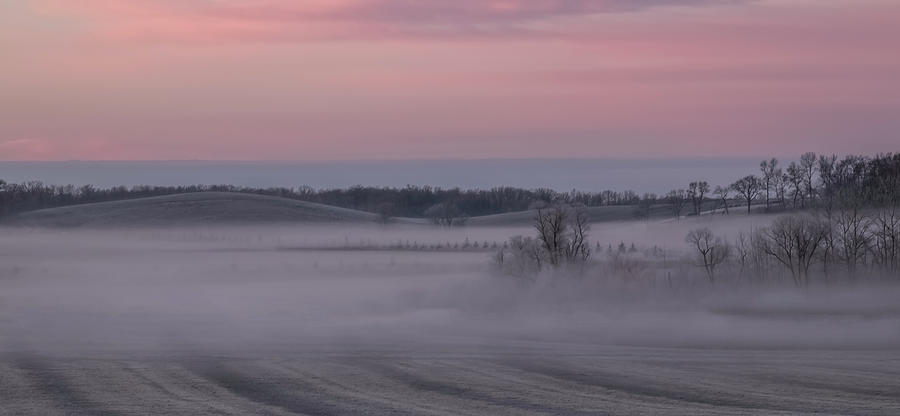 Pink Misty Morning #2 - Rolling Hills Photograph by Patti Deters