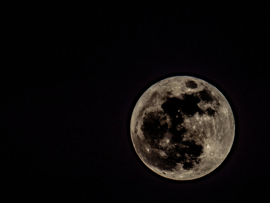 Pink Moon 2025 Photograph by Jeremy Butler Pink Moon 2025 Photograph by Jeremy Butler