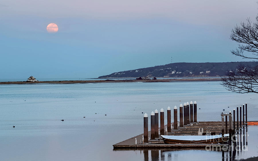 Pink Moon April 2020 Photograph by Janice Drew