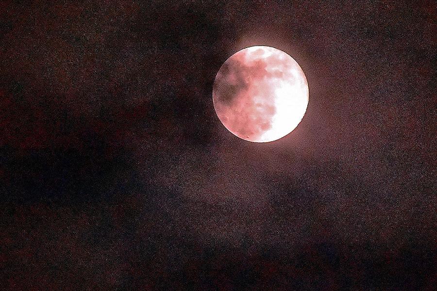 Pink Moon Photograph by Eileen Brymer