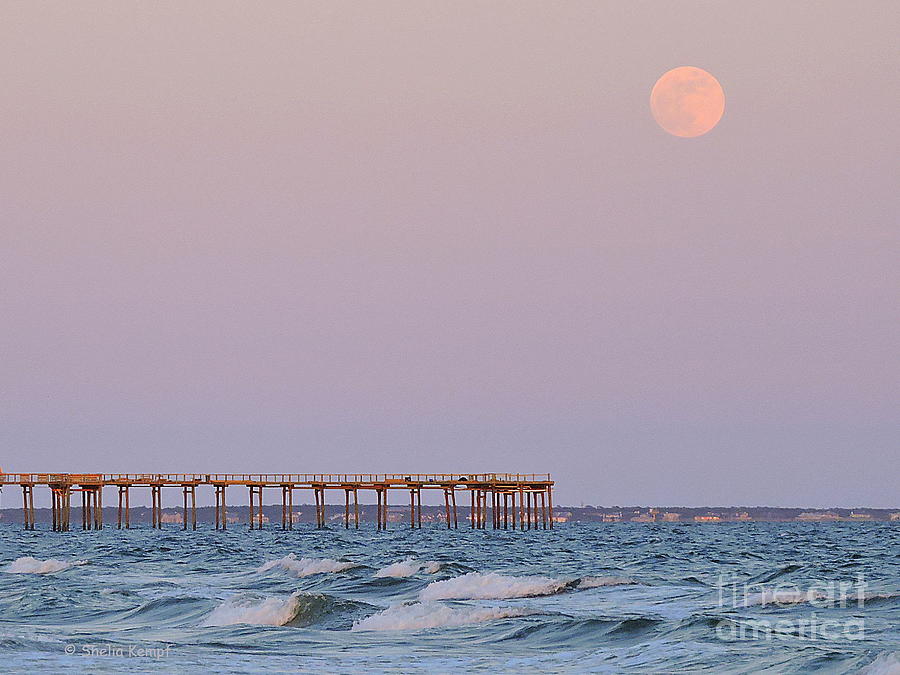 Pink Moon over the Seas Photograph by Shelia Kempf