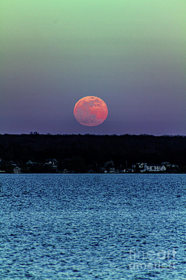Pink Moon Photograph by William Norton