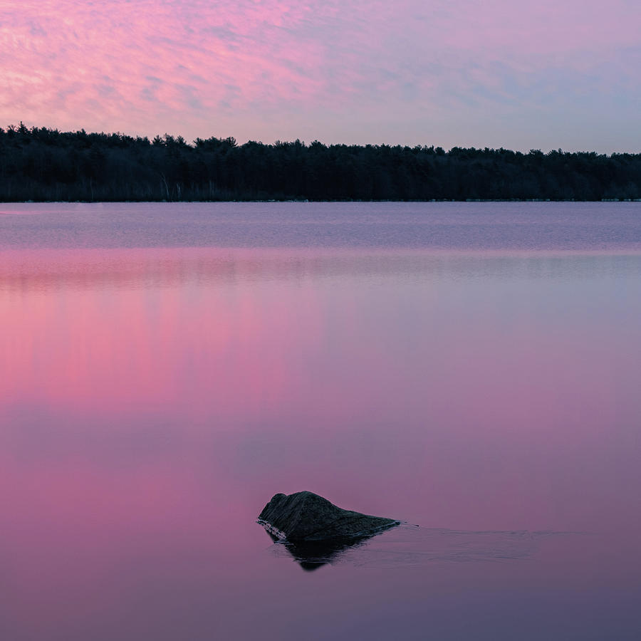 Pink Morning Photograph by William Bretton
