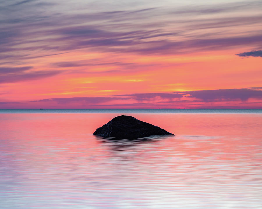Pink Morningstone  Photograph by William Bretton