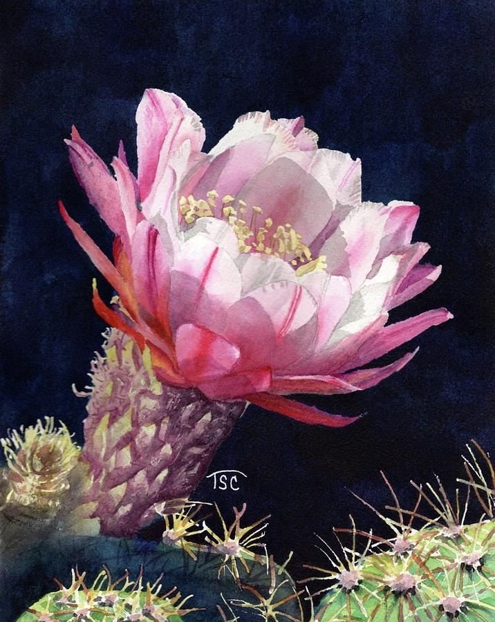 Pink Night Painting by Tammy Crawford