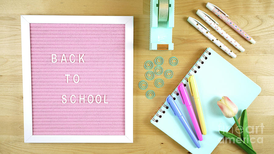 Pink notice board with Back to School message . Photograph by Milleflore Images
