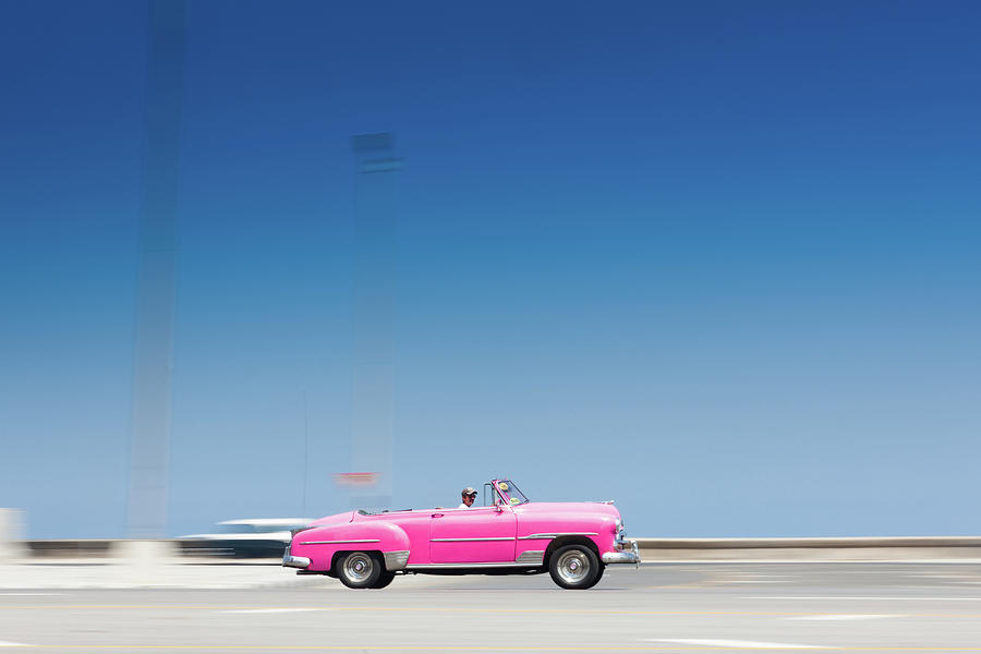 Pink on Blue Photograph by Mark Gomez
