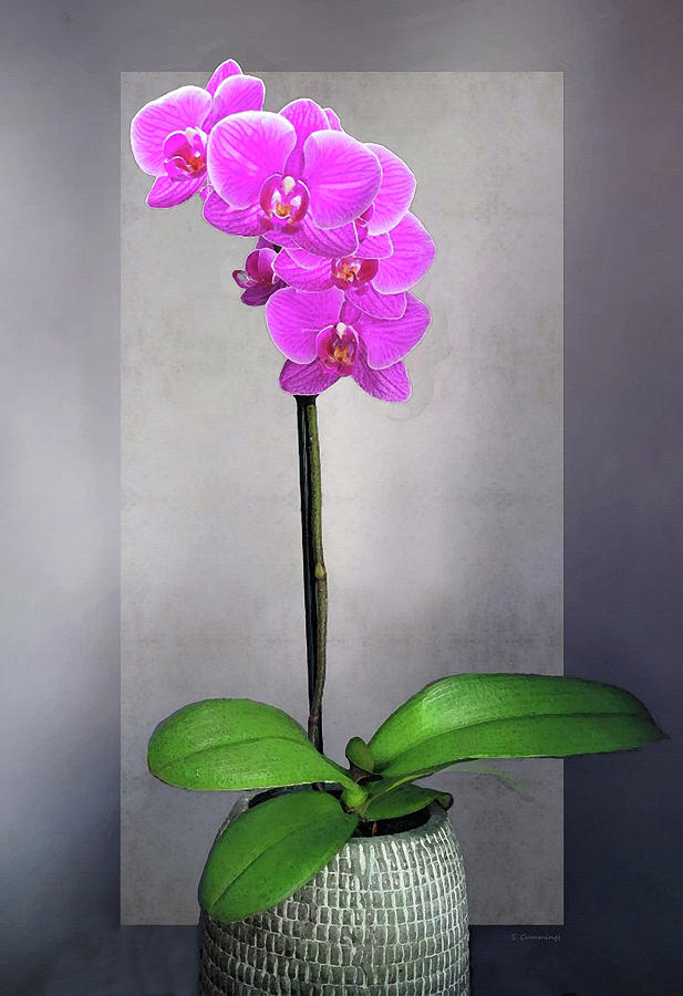 Pink Orchid Art - Simple Elegance One Painting by Sharon Cummings