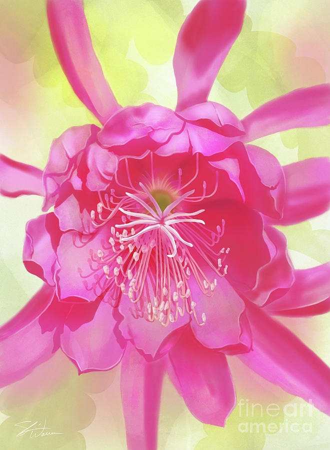 Pink Orchid Cactus Mixed Media by Shari Warren