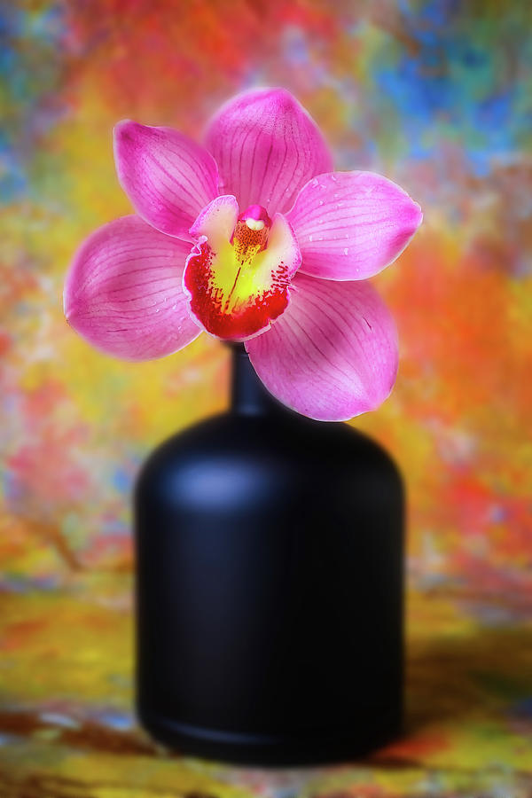 Pink Orchid In Black Vase Photograph by Garry Gay