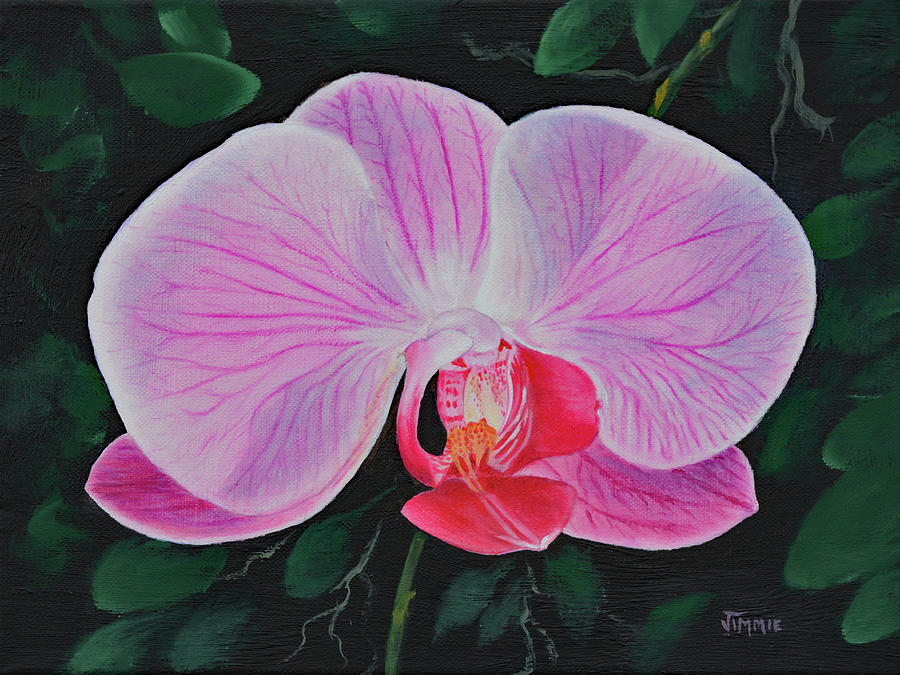 Pink Orchid Painting by Jimmie Bartlett