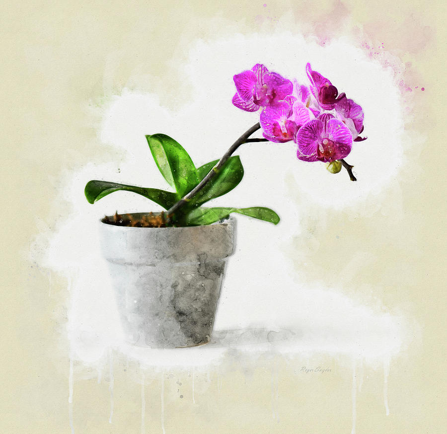 Pink Orchid Painting by Roger Snyder