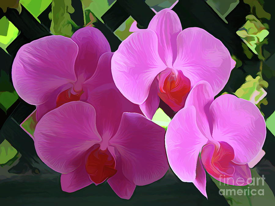 Orchid Photograph - Pink Orchids Abstract Acrylic Effect by Rose Santuci-Sofranko
