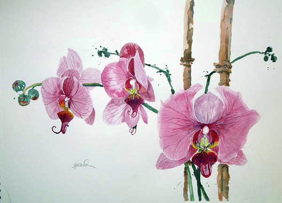 Pink Orchids Painting by Glen Ward - Fine Art America