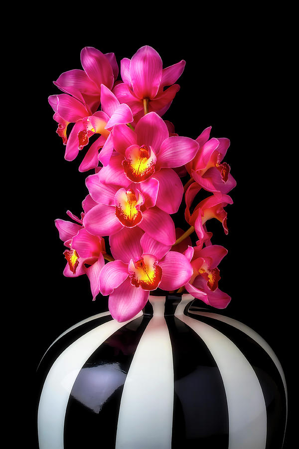 Pink Orchids In Striped Vase Photograph by Garry Gay