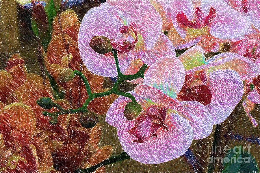 Pink Orchids Photograph by Katherine Erickson