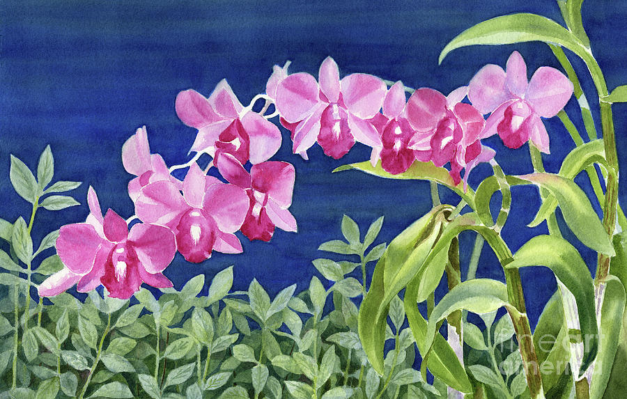 Orchid Painting - Pink Orchids with Blue Background by Sharon Freeman