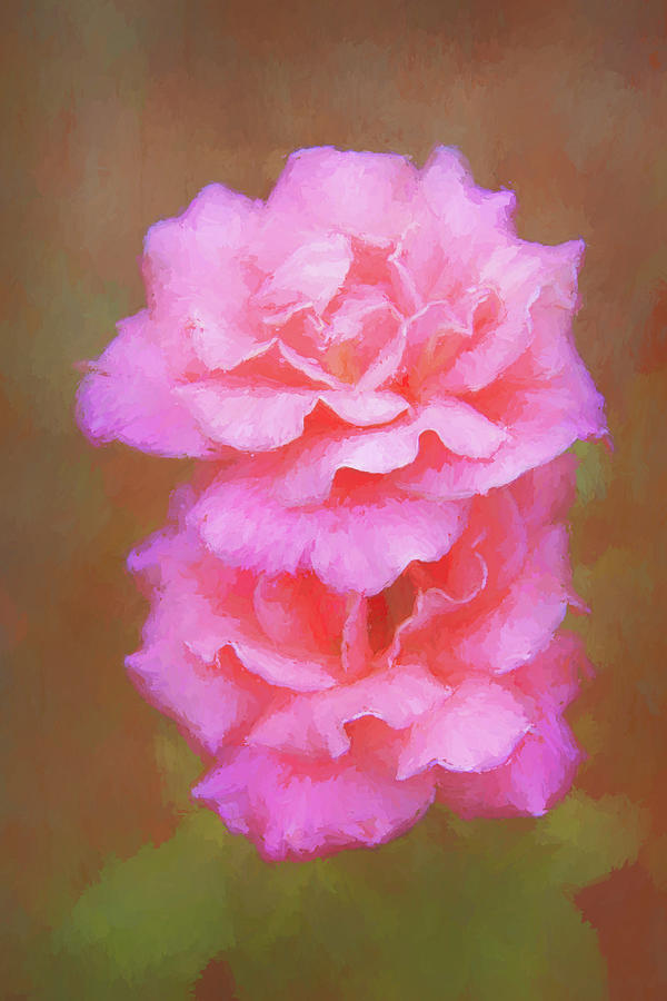 Pink painterly roses against a textured background Photograph by Sue Leonard