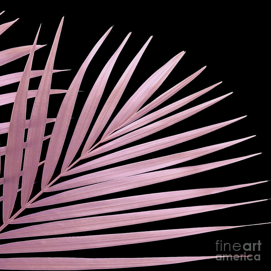 Pink Palm Painting