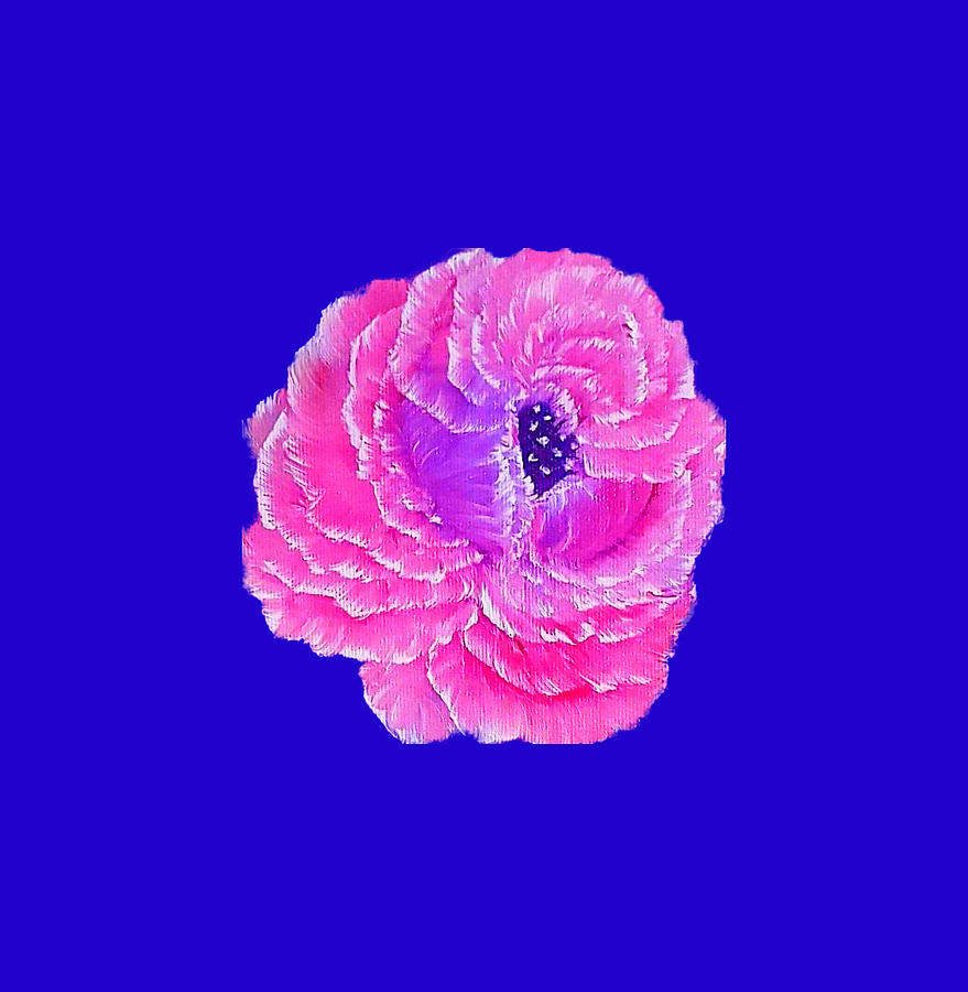 Flower Painting - Pink passion fragrance rose on royal blue  by Angela Whitehouse