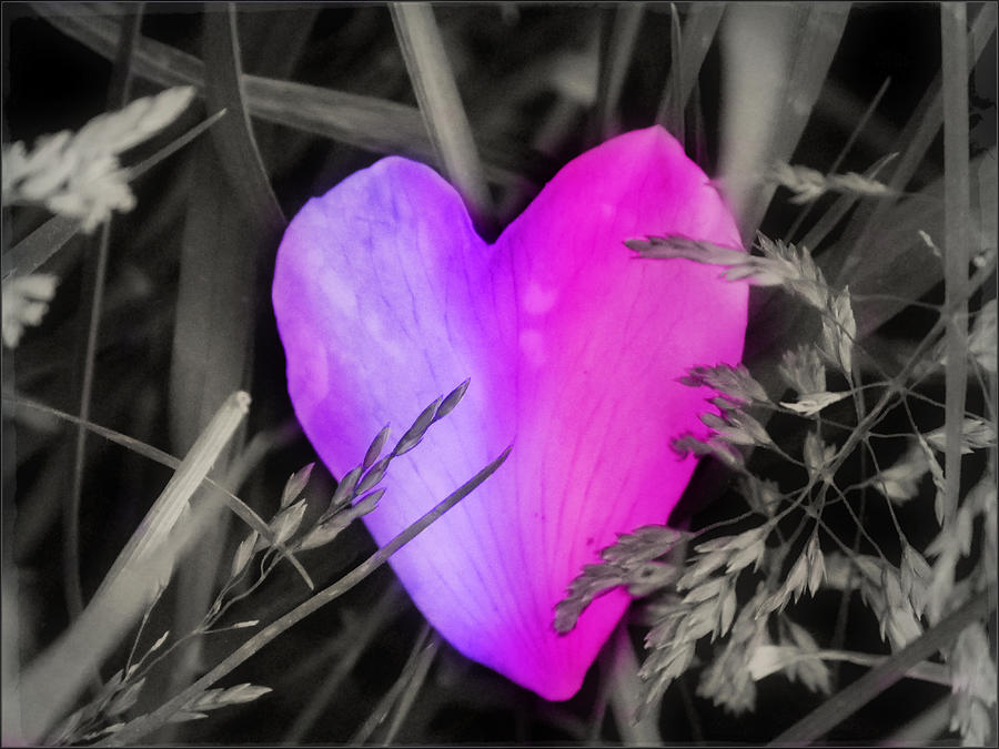 Pink passion love heart  Digital Art by Nature Art