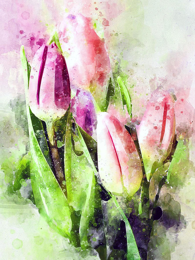 Pink Peach Tulips Watercolor Painting by Sandi OReilly