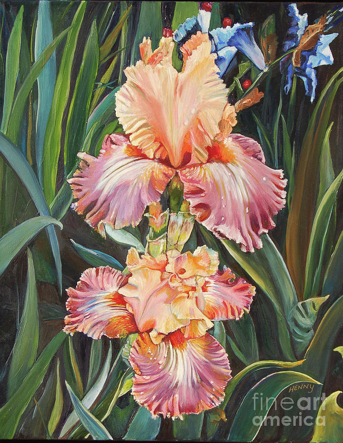 Flower Painting - Pink Pearl Iris by Henny Dagenais