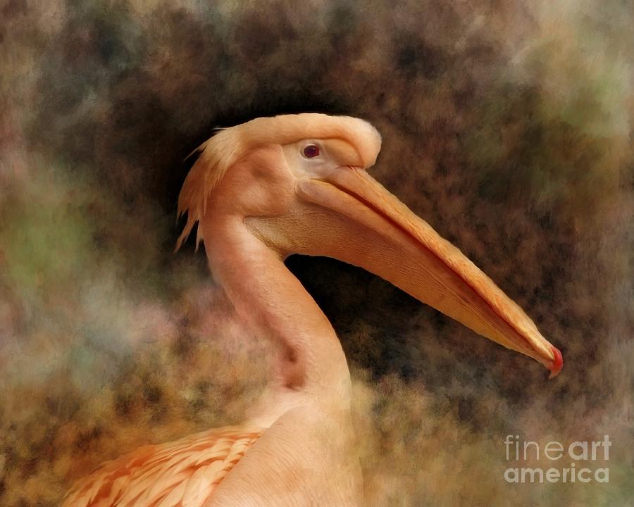 Pink Pelican Bird 81 Mixed Media by Lucie Dumas
