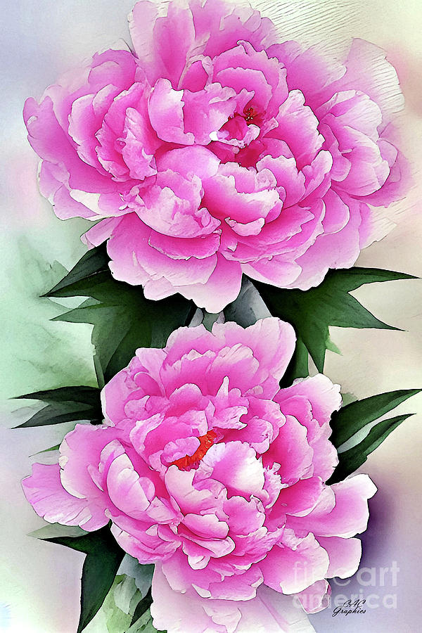 Pink Peonies Painting by CAC Graphics