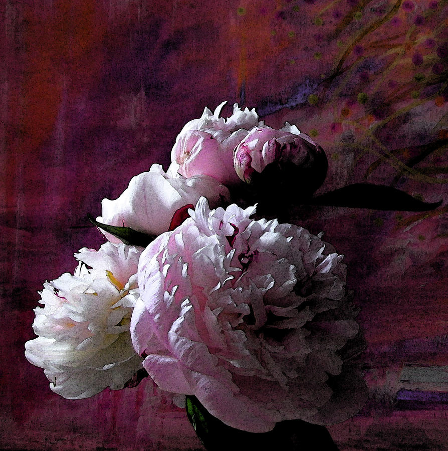 Pink Peonies in Shadow Photograph by Corinne Carroll