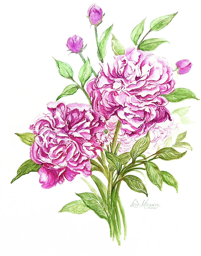 Pink Peonies Painting by Lois Mountz