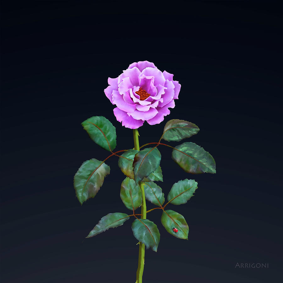 Pink Perpetual Rose Painting by David Arrigoni