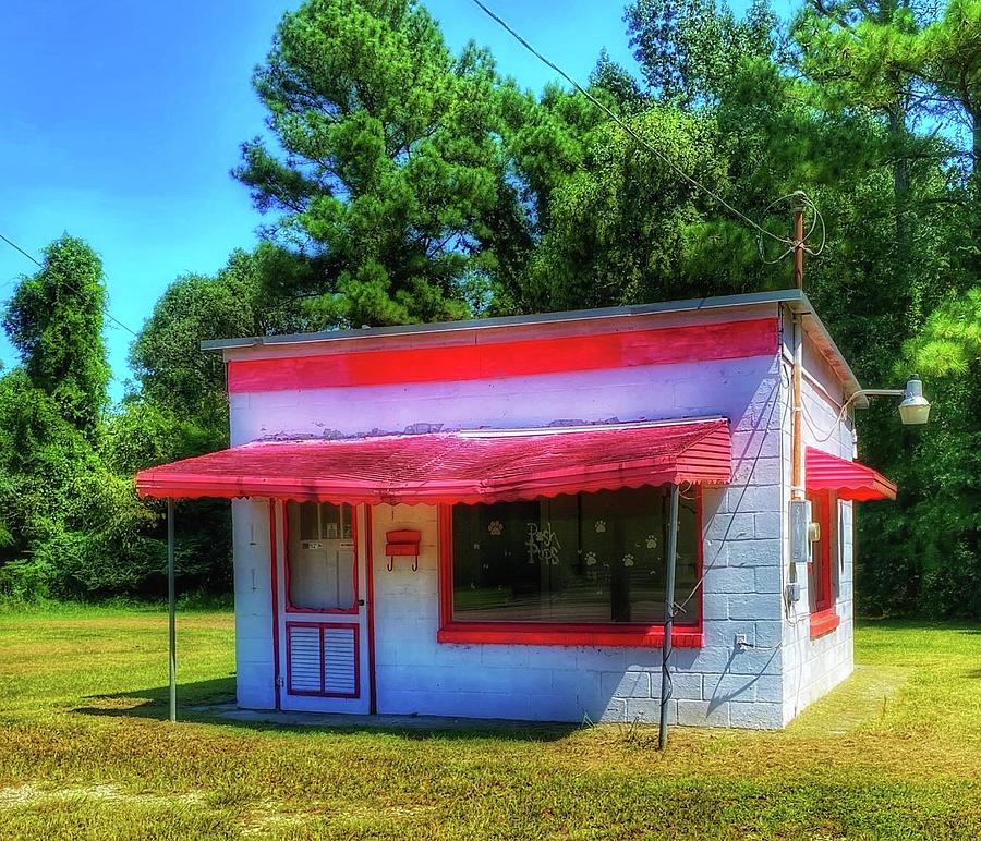 Pink Pet Place Photograph by Patricia Greer