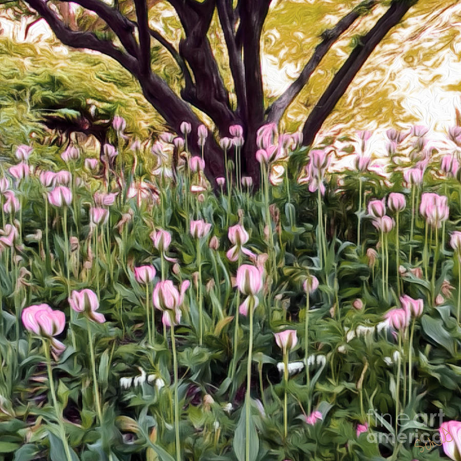 Pink Petals Digital Art by Gabrielle Schertz