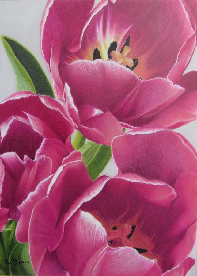 Pink Petals  Drawing by Kelly Speros