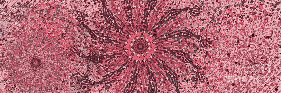 Pink Pinwheel Panorama Digital Art by Bentley Davis